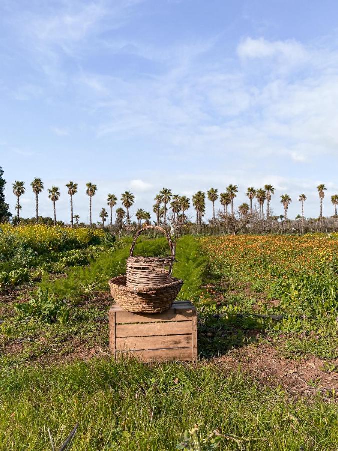 Galeta Masseria Nardò Esterno foto